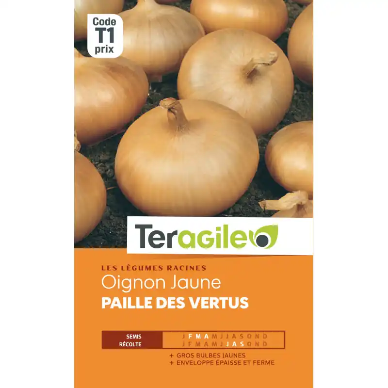 Haute Qualité Oignon jaune paille des vertus t1 teragile