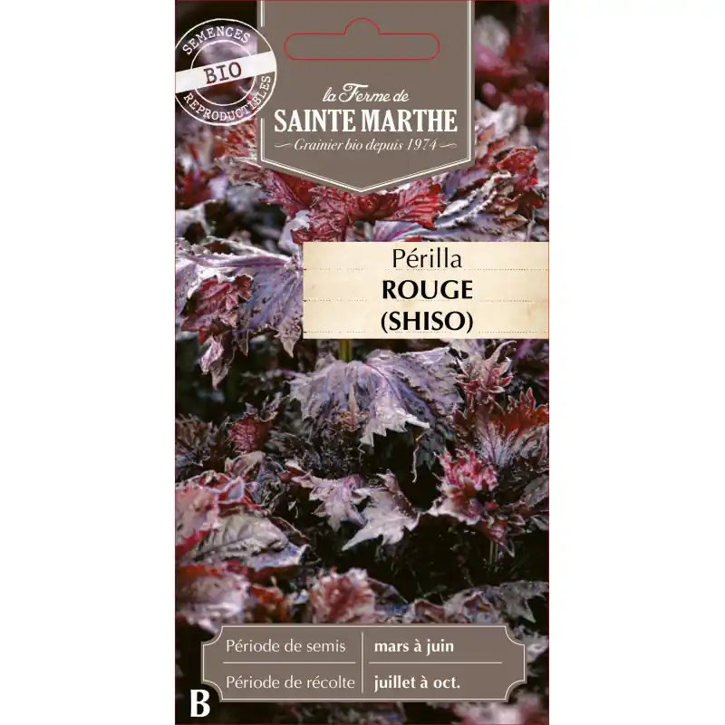 Perilla rouge shiso bio – herbes aromatiques de la ferme sainte marthe – graines à semer Petit Prix