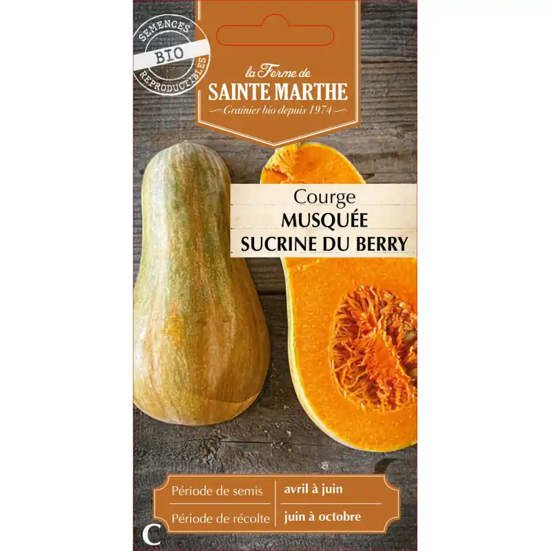 Bon Plan Courge musquée sucrine du berry bio - sainte marthe, légume gourmand et savoureux - graines à semer