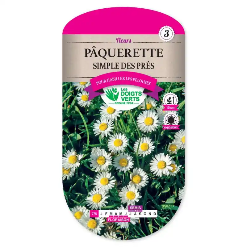 Acheter En Ligne Paquerette simple des pres - graines 0,3g - les doigts verts