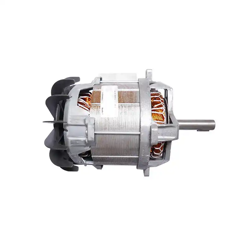 Vente Flash Moteur électrique tondeuse GGP/Castelgarden