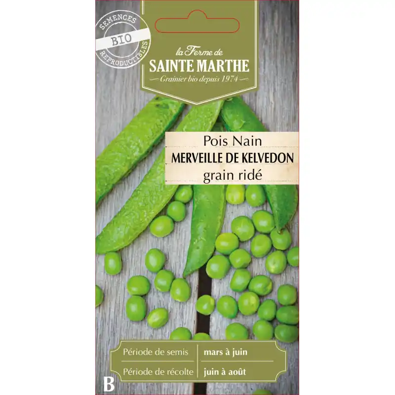 Nouveauté Pois nain merveille kelvedon 10g – graines bio sainte marthe