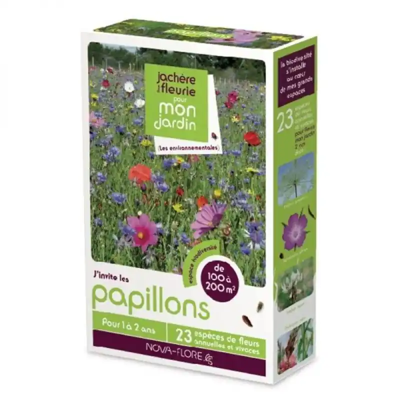 Bon Marché Jachère à papillons – Semences pour 100 à 200 m², Écologique et Biodiversité
