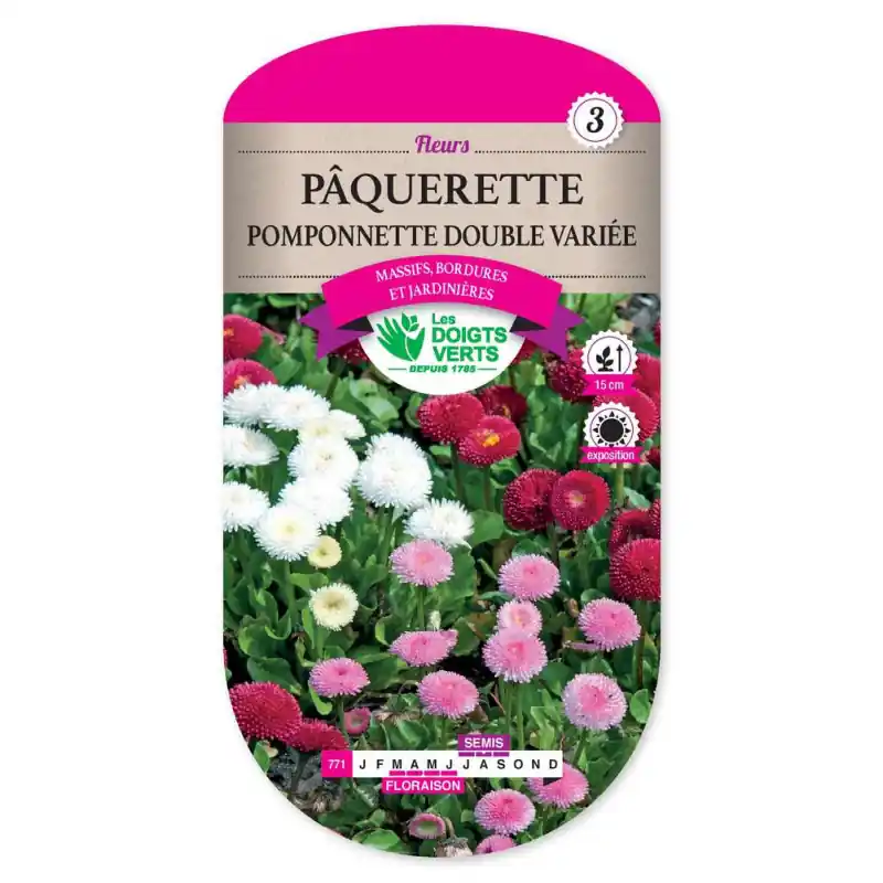 Paquerette pomponnette dble var. – graines 0,2g – les doigts verts Commande En Gros