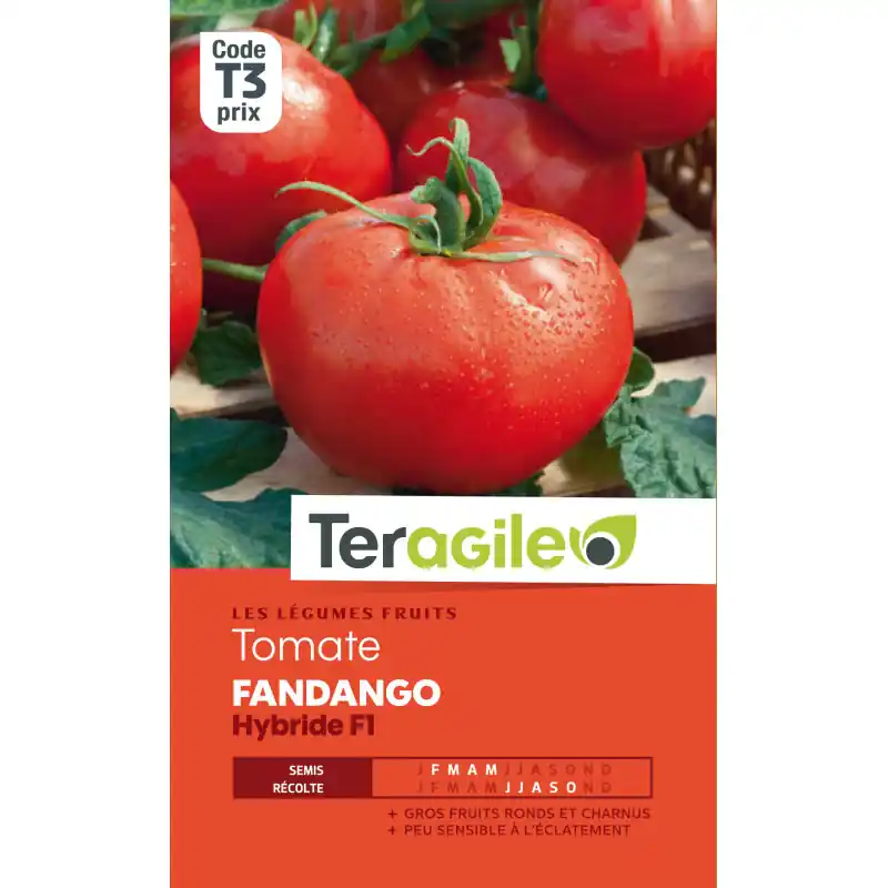 Tomate fandango hybride f1 t3 teragile Bon Plan