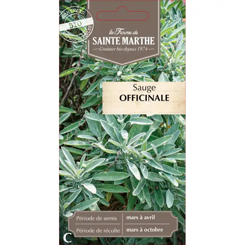 Sauge officinale bio de la ferme sainte marthe pour cuisine et bien-être – graines à semer Meilleur Choix