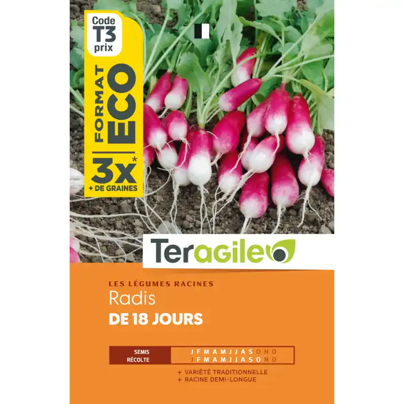 Dernier Modèle Radis de 18 jours t3 teragile