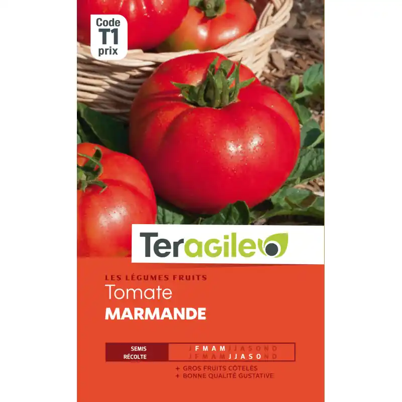 Tomate marmande vf t1 teragile Must-Have