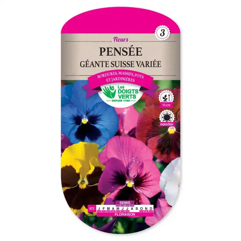 Usine Directe Pensee geante suisse variee – graines 0,5g – les doigts verts