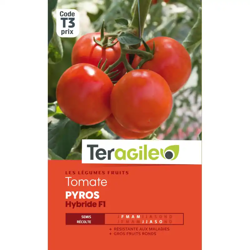 Tomate pyros hybride f1 t3 teragile Vente Flash