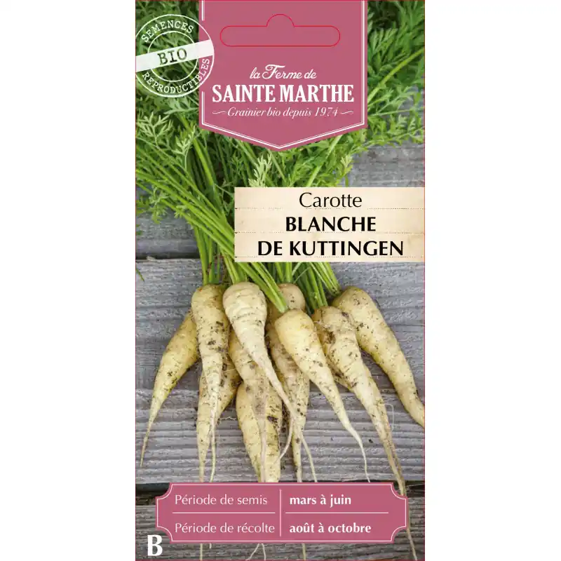 Remise Carotte blanche bio kuttingen de sainte marthe pour potager et jardin - graines à semer
