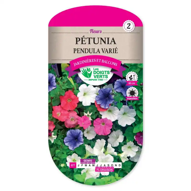 Usine Directe Petunia pendula varie – sachet de graines 0,5g – les doigts verts