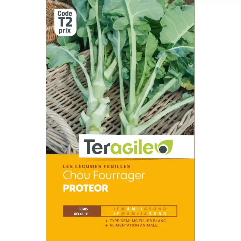 Usine Directe Chou fourrager proteor 10,00 g