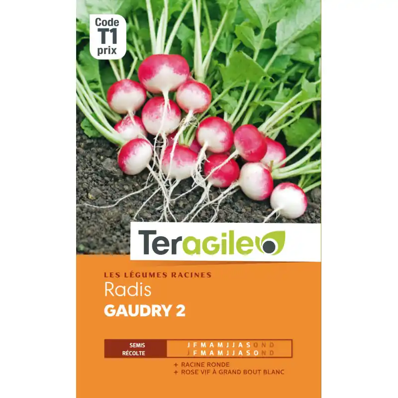 Radis gaudry 2 t1 teragile Offre Exclusive