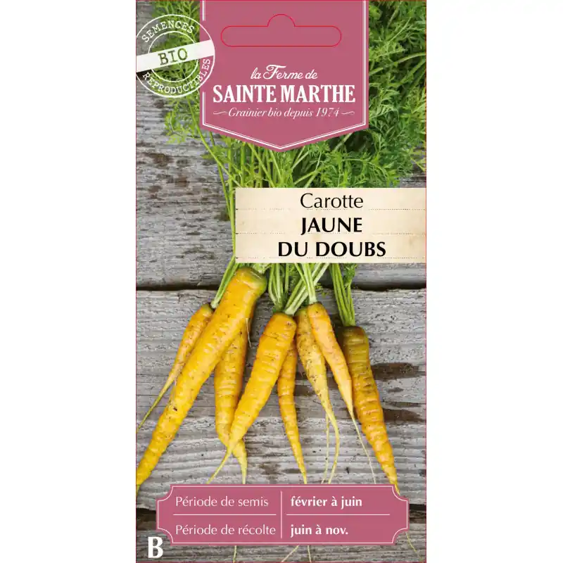 Carotte jaune bio du doubs – récoltée à la ferme sainte marthe – graines à semer Paiement Sécurisé