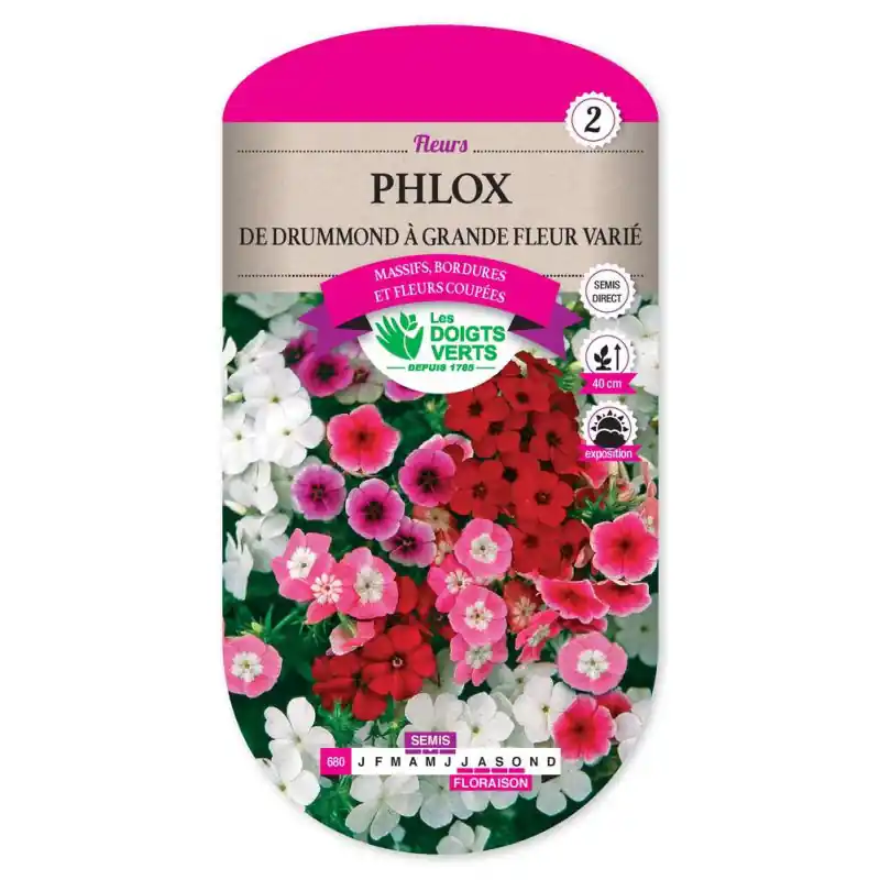 Phlox de drummond gde fl. varie – graines 0,8g – les doigts verts Seulement Aujourd&rsquo;hui