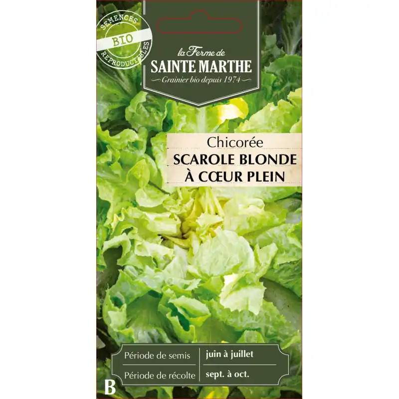 Must-Have Chicorée scarole blonde à cœur – semences sainte marthe – graines à semer