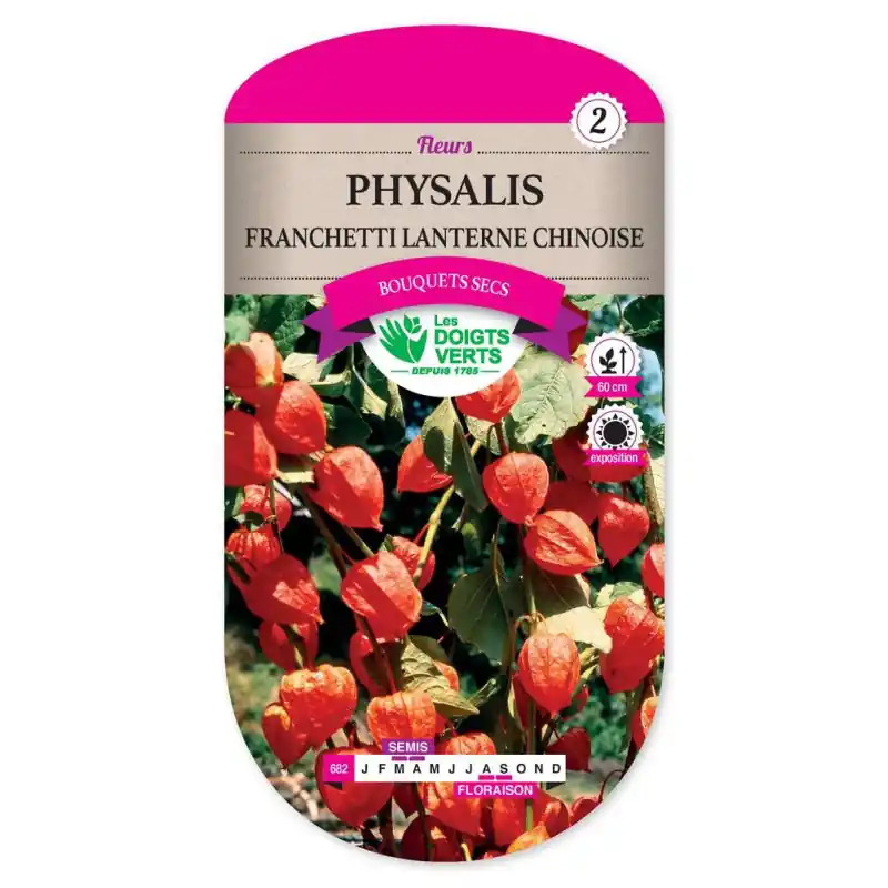 Réduction Physalis franchetti lant.chinois – graines 0,5g – les doigts verts