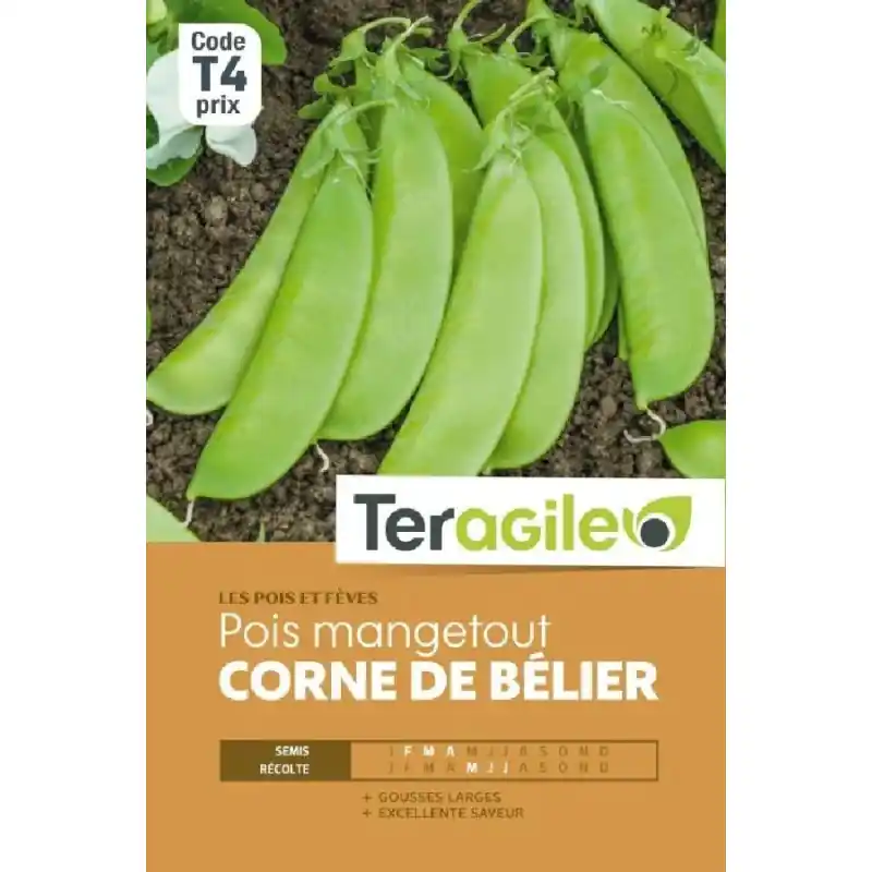 Dernière Chance Pois rame mgt corne belier 200g t4 terg
