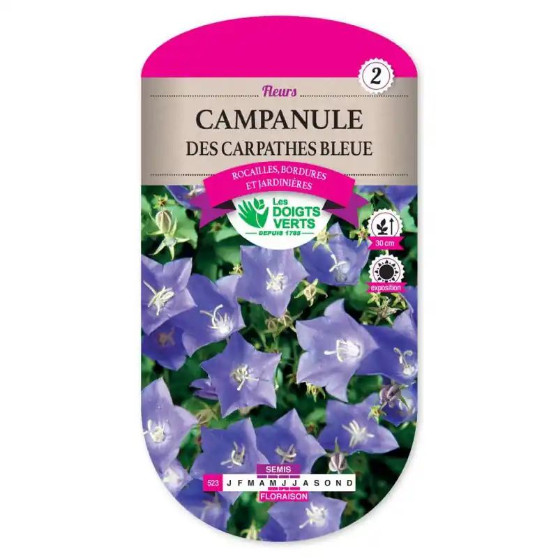 Usine Directe Campanule des carpathes bleue – graines 0,8g – les doigts verts