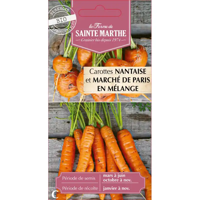 Promotion Carottes potagères en mélange sainte marthe pour jardin bio et récolte abondante - graines à semer