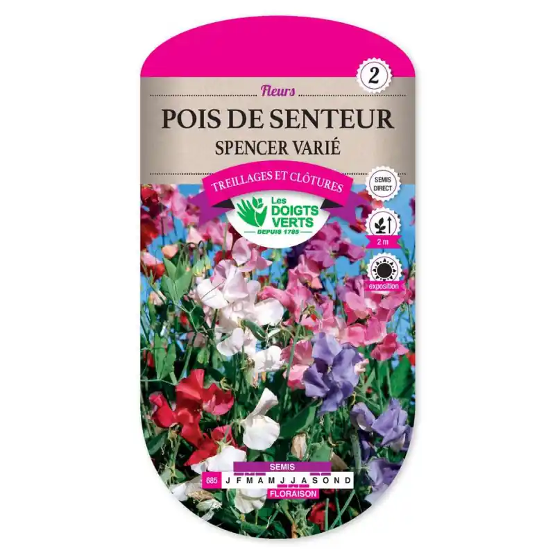 Pois senteur spencer varie – graines 6g – les doigts verts Offre Spéciale