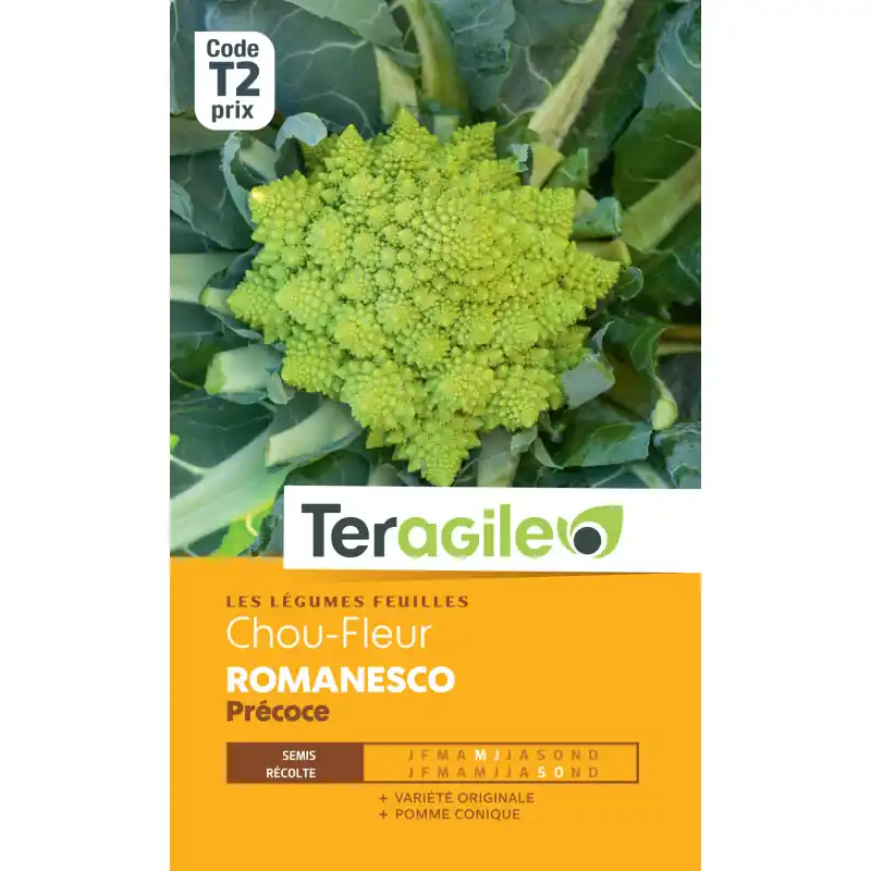 Chou-fleur romanesco precoce 2,00 g Retour Gratuit