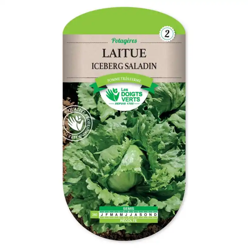 Expédition Rapide Laitue iceberg saladin – sachet de graines 2g – les doigts verts
