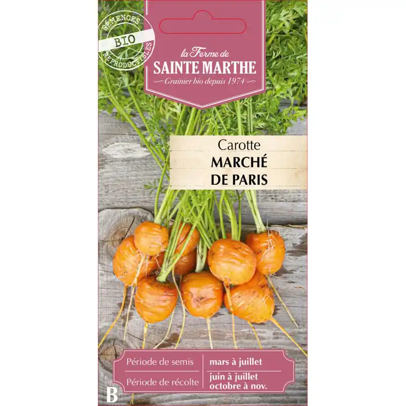 Carotte bio sainte marth – semences potagères pour jardin écologique – graines à semer Must-Have