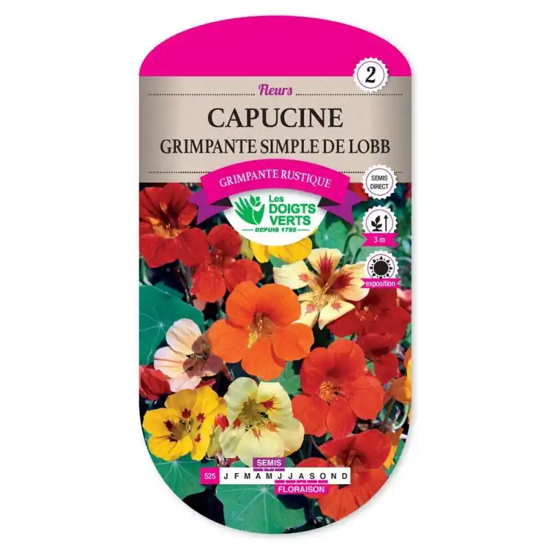 Capucine simple grimp. de lobb – graines 5g – les doigts verts Prix Cassé