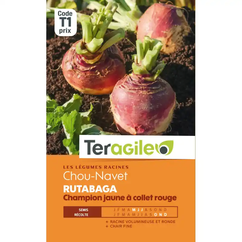 Offre Spéciale Chou-navet rutbg jaun / rge t1 teragile
