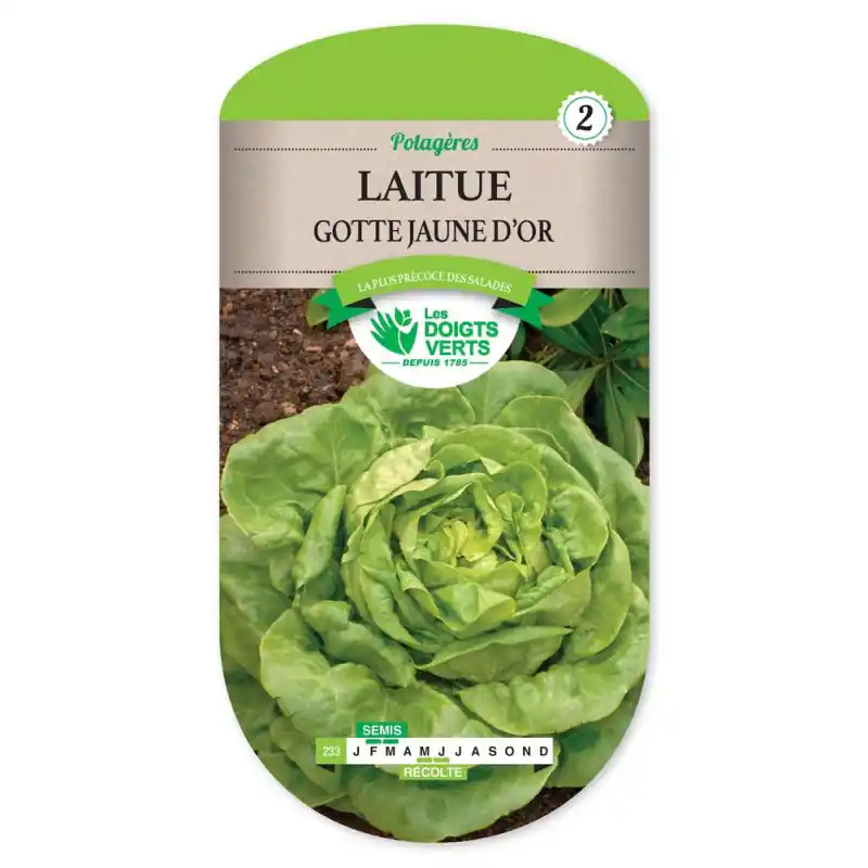 Laitue gotte jaune d‘or – sachet de graines 4g – les doigts verts Promotion