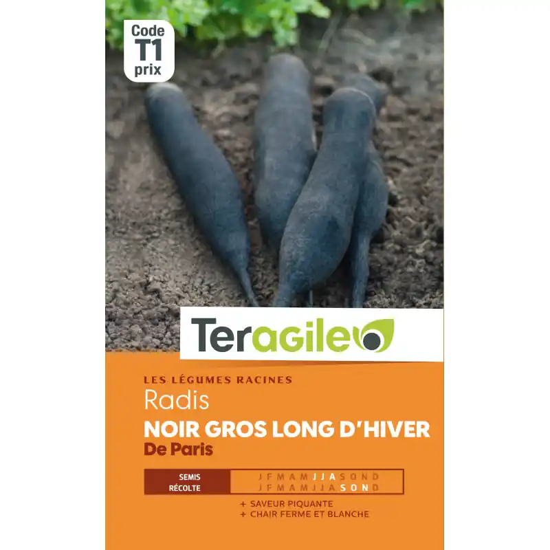 Prix Promo Radis noir grs lg hiver paris t1 teragile