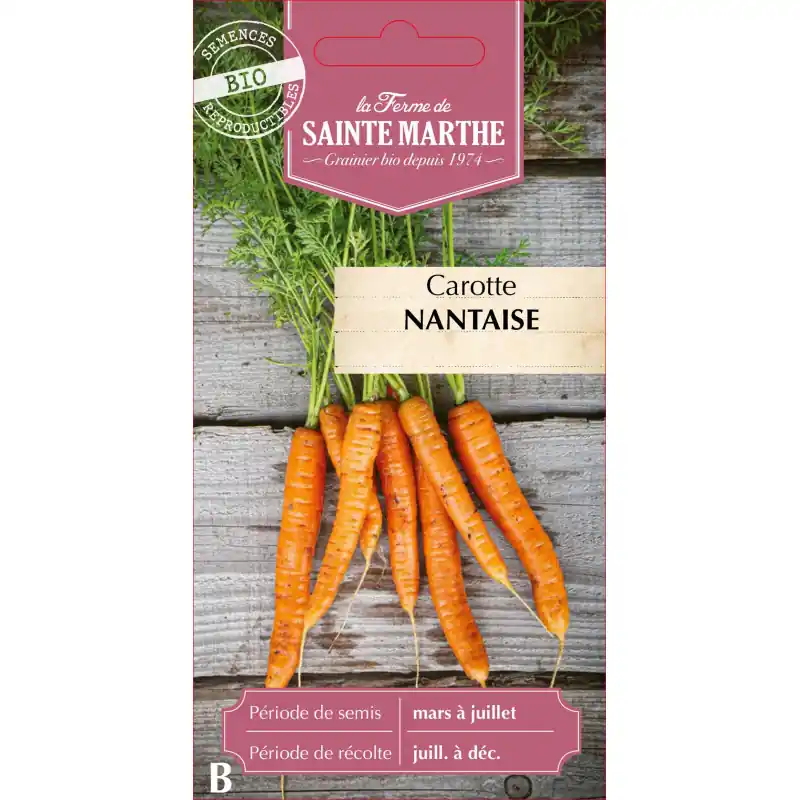 Bon Plan Carotte potagère nantaise bio – sainte marth, légumes frais et savoureux – graines à semer