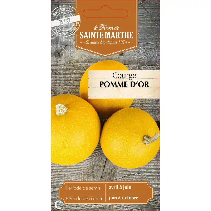 Courgette pomme dor bio – fraîcheur de la ferme sainte marthe – graines à semer Solde