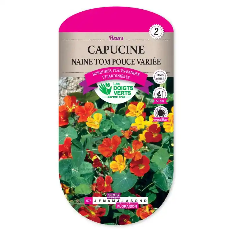 Commande En Gros Capucine naine tom pouce variee – graines 5g – les doigts verts