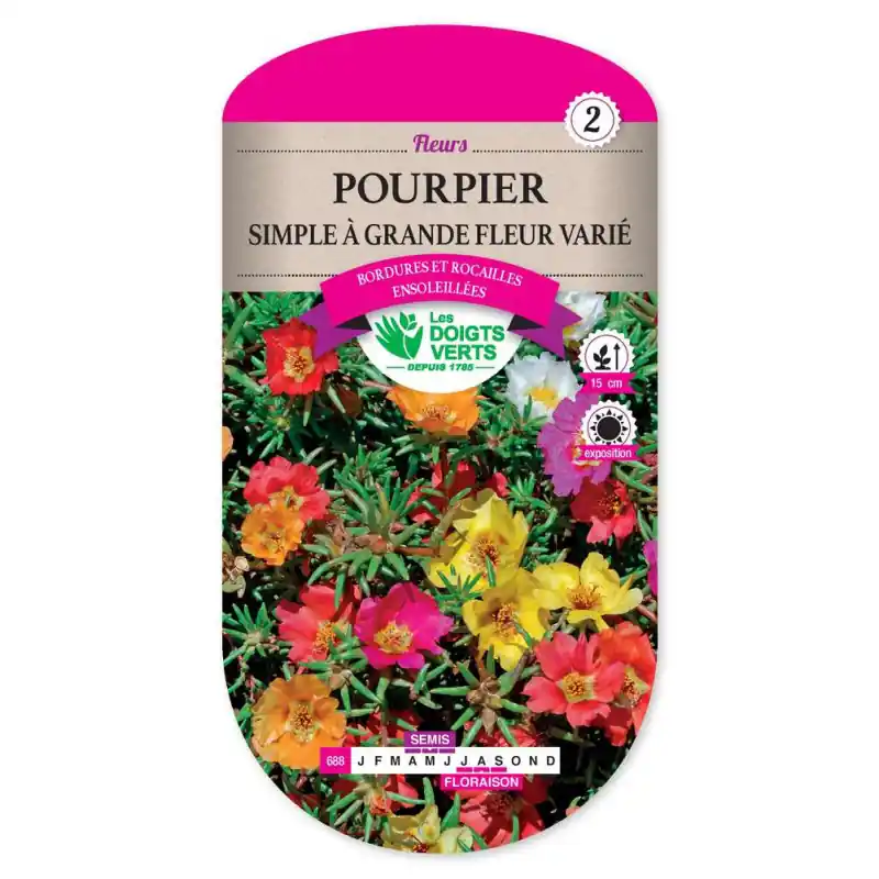 Expédié Aujourd&rsquo;hui Pourpier a gde fl. simple varie – graines 0,8g – les doigts verts