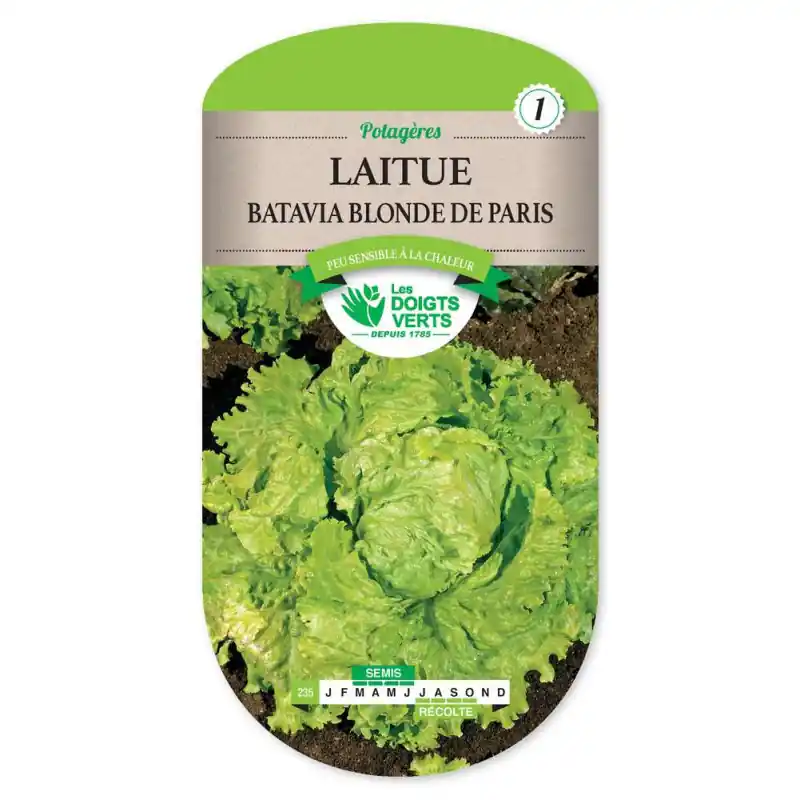 Laitue batavia blonde de paris – graines 4g – les doigts verts Retour Gratuit