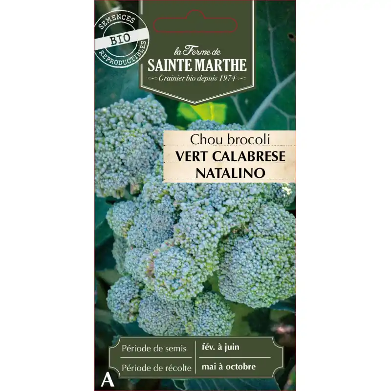 Chou brocoli vert calabrese bio sainte marthe 500g – graines à semer Produit De Marque