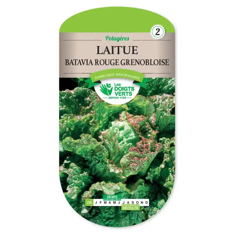 Offre Exclusive Laitue batavia rouge grenobloise – graines 2,5g – les doigts verts