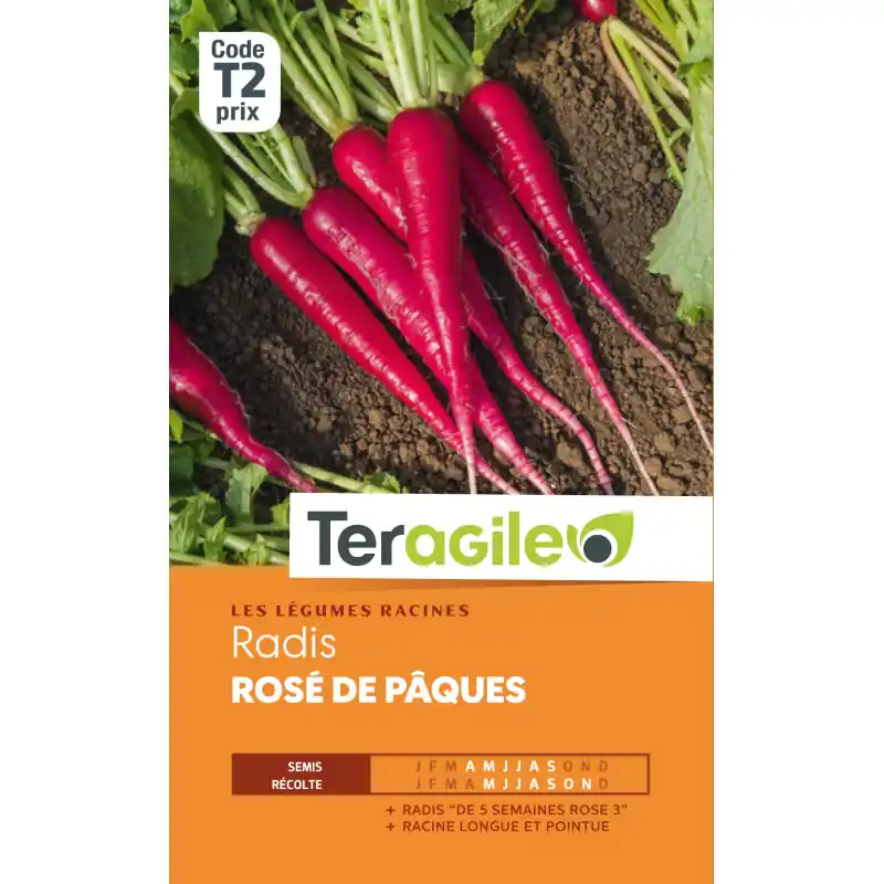 Radis rose de paques t2 teragile Promotion Saisonnière