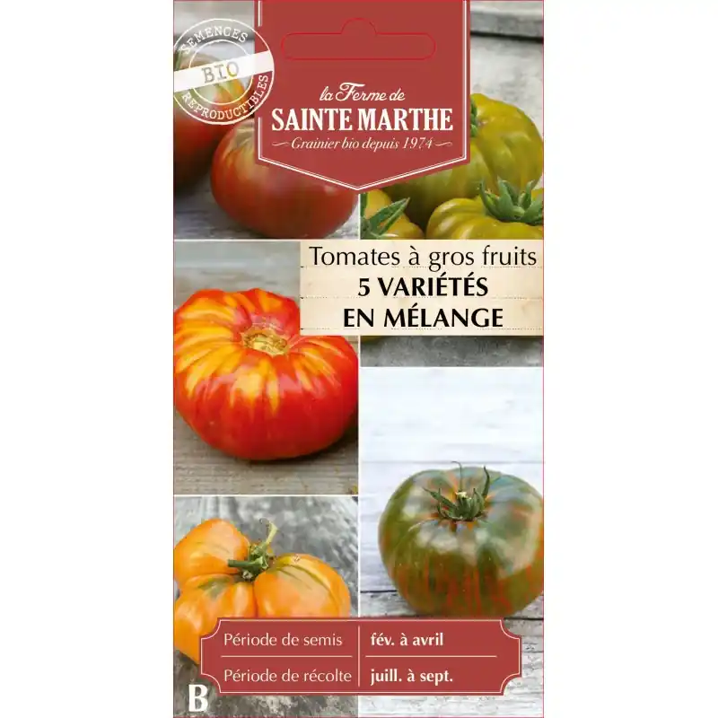 Commande En Gros Tomate à gros fruits bio mélange sainte marthe – graines à semer