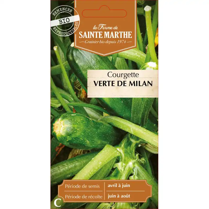 Courgette verte de milan bio – fraîcheur de la ferme sainte marth – graines à semer Commander Vite