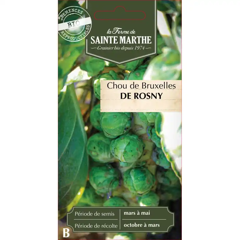 Populaire Chou de bruxelles bio de rosny – sainte marthe 500g – graines à semer