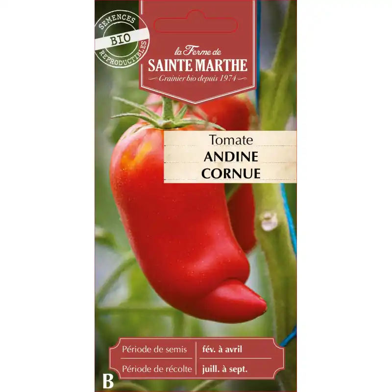 Tomate andine cornue des andes bio – sainte marth, variété savoureuse et cultivée avec soin – graines à semer Remise