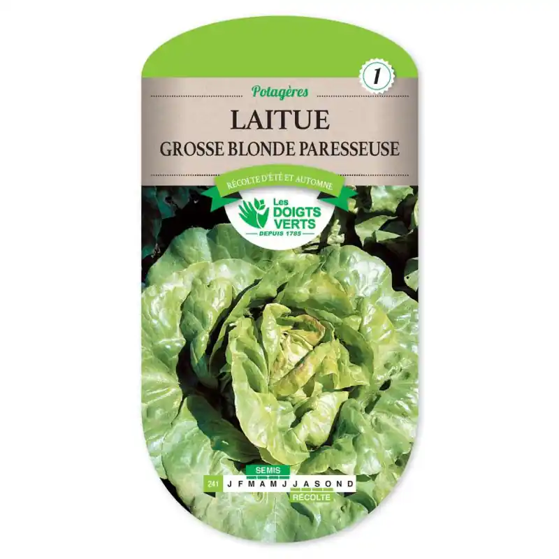 Laitue grosse blonde paresseuse – graines 3g – les doigts verts Achetez Aujourd&rsquo;hui