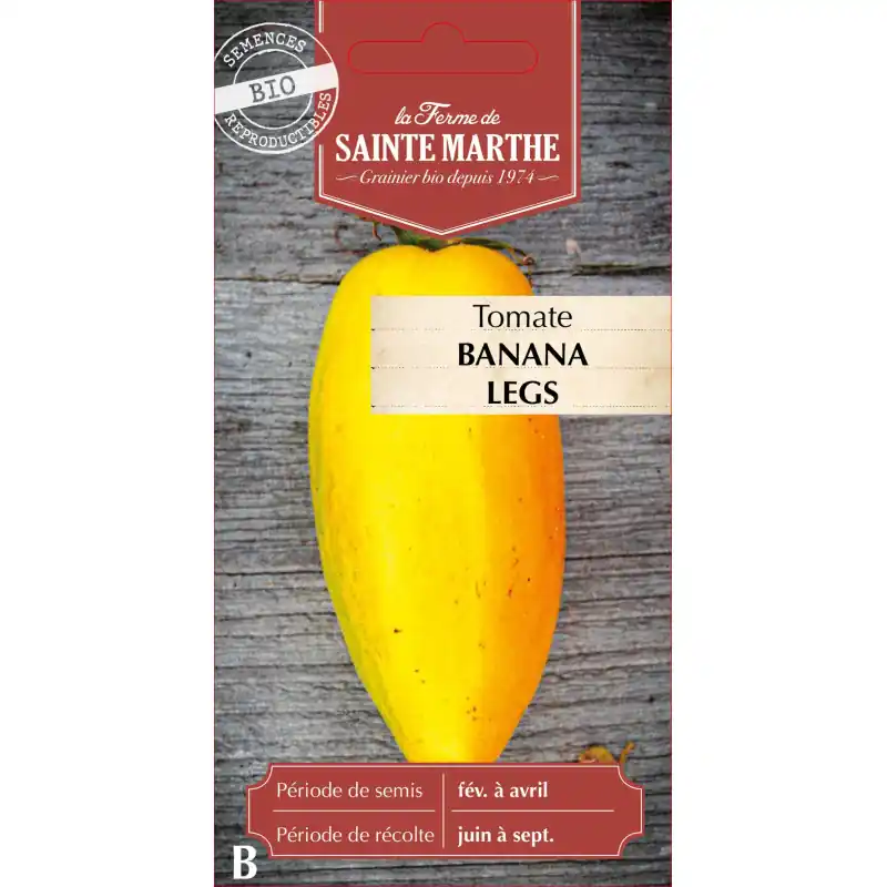 Quantité Limitée Tomate banana legs bio de la ferme sainte marthe pour un goût unique et savoureux – graines à semer