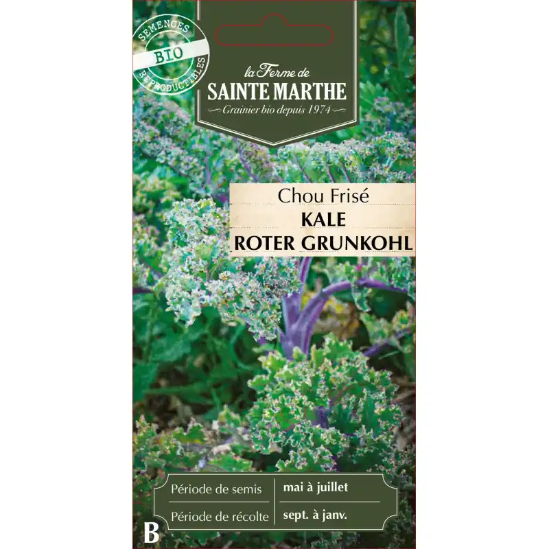 Prix Bas Chou kale roter grunkohl bio de la ferme sainte marth 250g – graines à semer