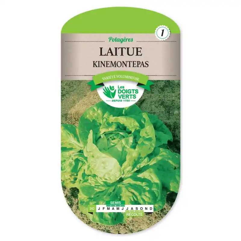Commande En Gros Laitue kinemontepas – sachet de graines 4g – les doigts verts
