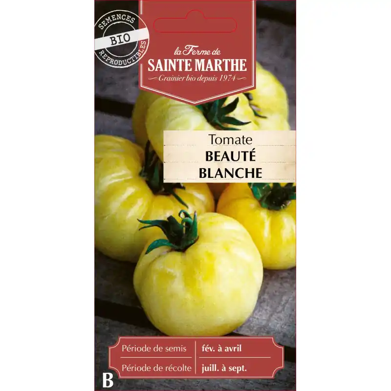 Tomate beauté blanche bio de la ferme sainte marthe 500g – graines à semer Quantité Limitée